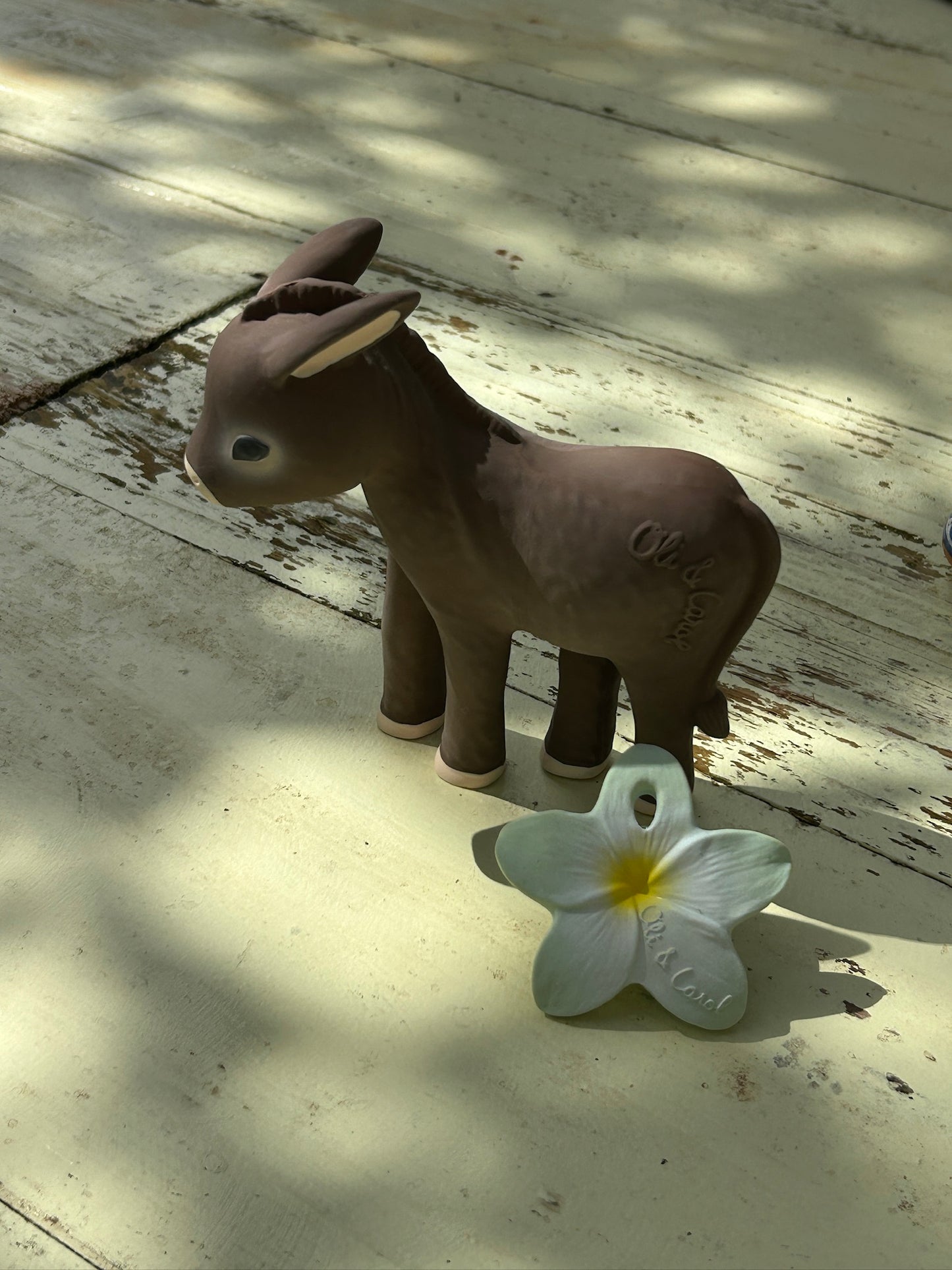HECTOR THE DONKEY - VILLA MAGNAN X OLI & CAROL