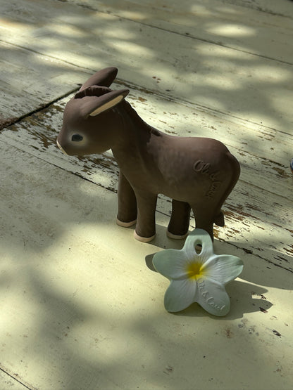 HECTOR THE DONKEY - VILLA MAGNAN X OLI & CAROL