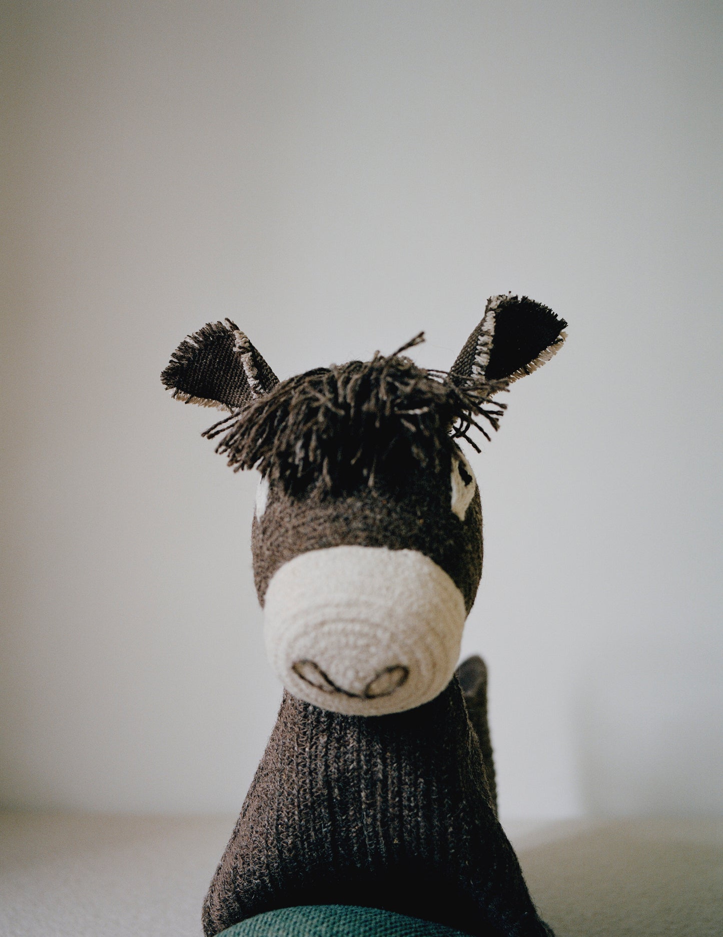 HECTOR THE DONKEY BASKET - VILLA MAGNAN X LORENA CANALS