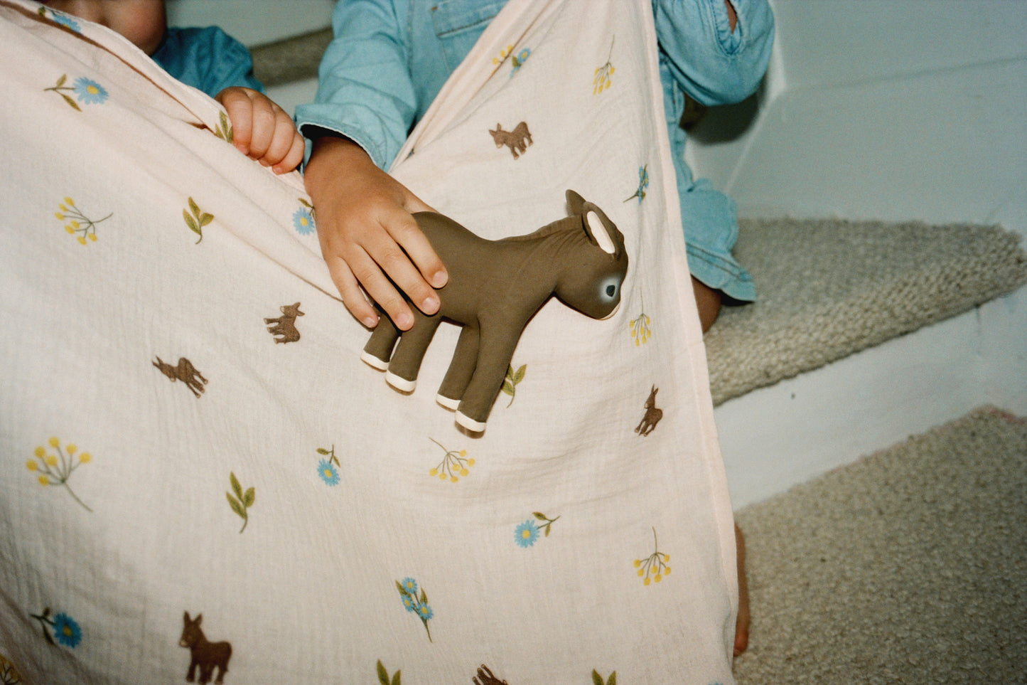 HECTOR THE DONKEY - VILLA MAGNAN X OLI & CAROL
