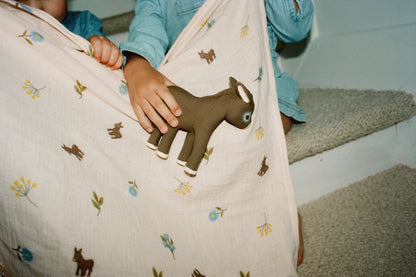 HECTOR THE DONKEY - VILLA MAGNAN X OLI & CAROL