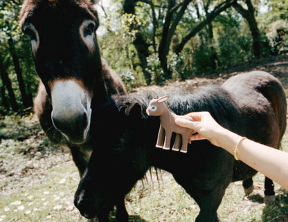 HECTOR THE DONKEY - VILLA MAGNAN X OLI & CAROL