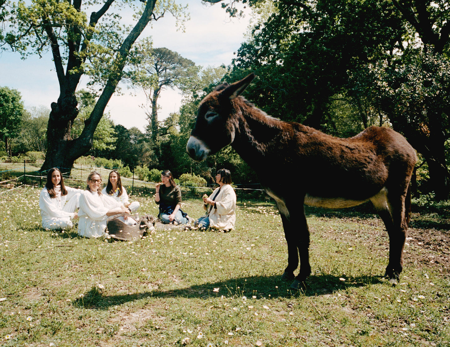 HECTOR THE DONKEY - VILLA MAGNAN X OLI & CAROL