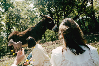 HECTOR THE DONKEY - VILLA MAGNAN X OLI & CAROL