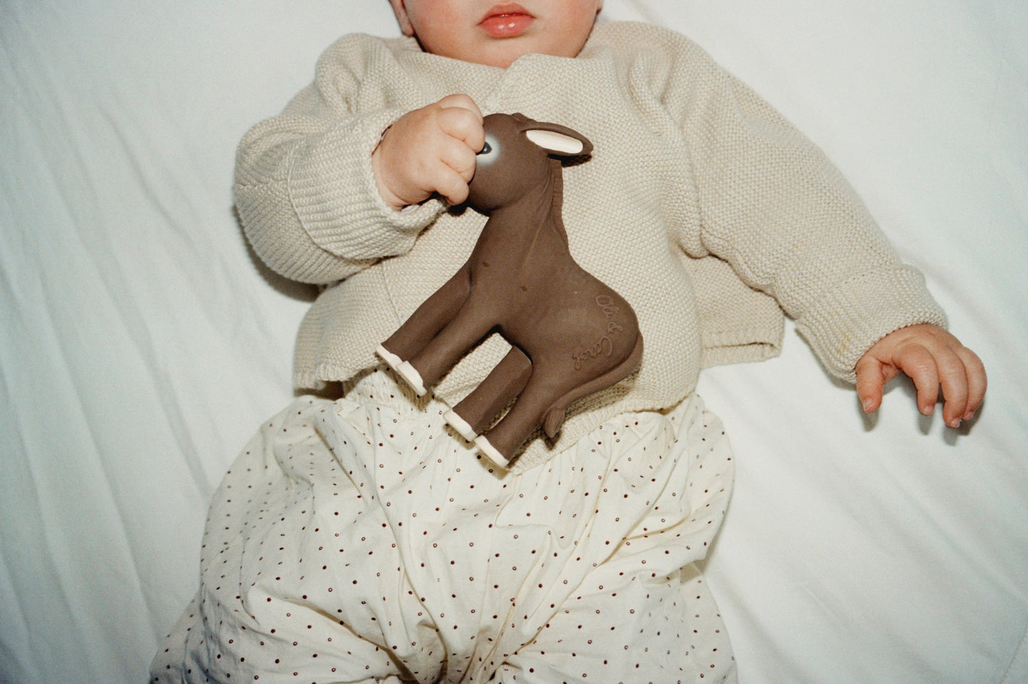 HECTOR THE DONKEY - VILLA MAGNAN X OLI & CAROL