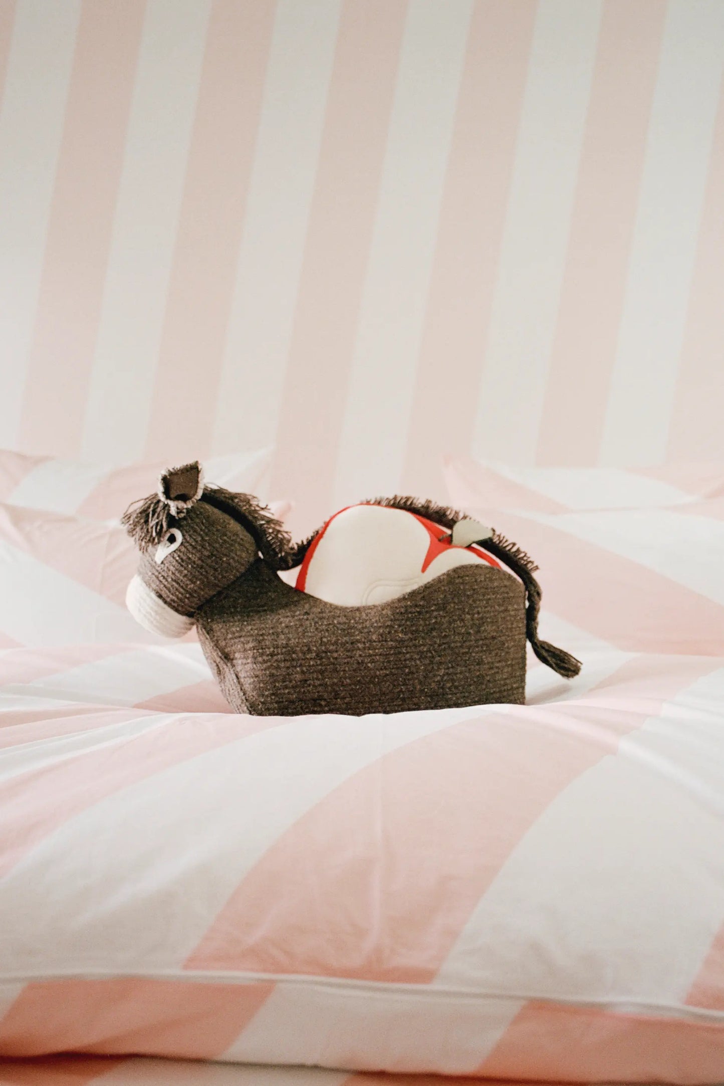 HECTOR THE DONKEY BASKET - VILLA MAGNAN X LORENA CANALS