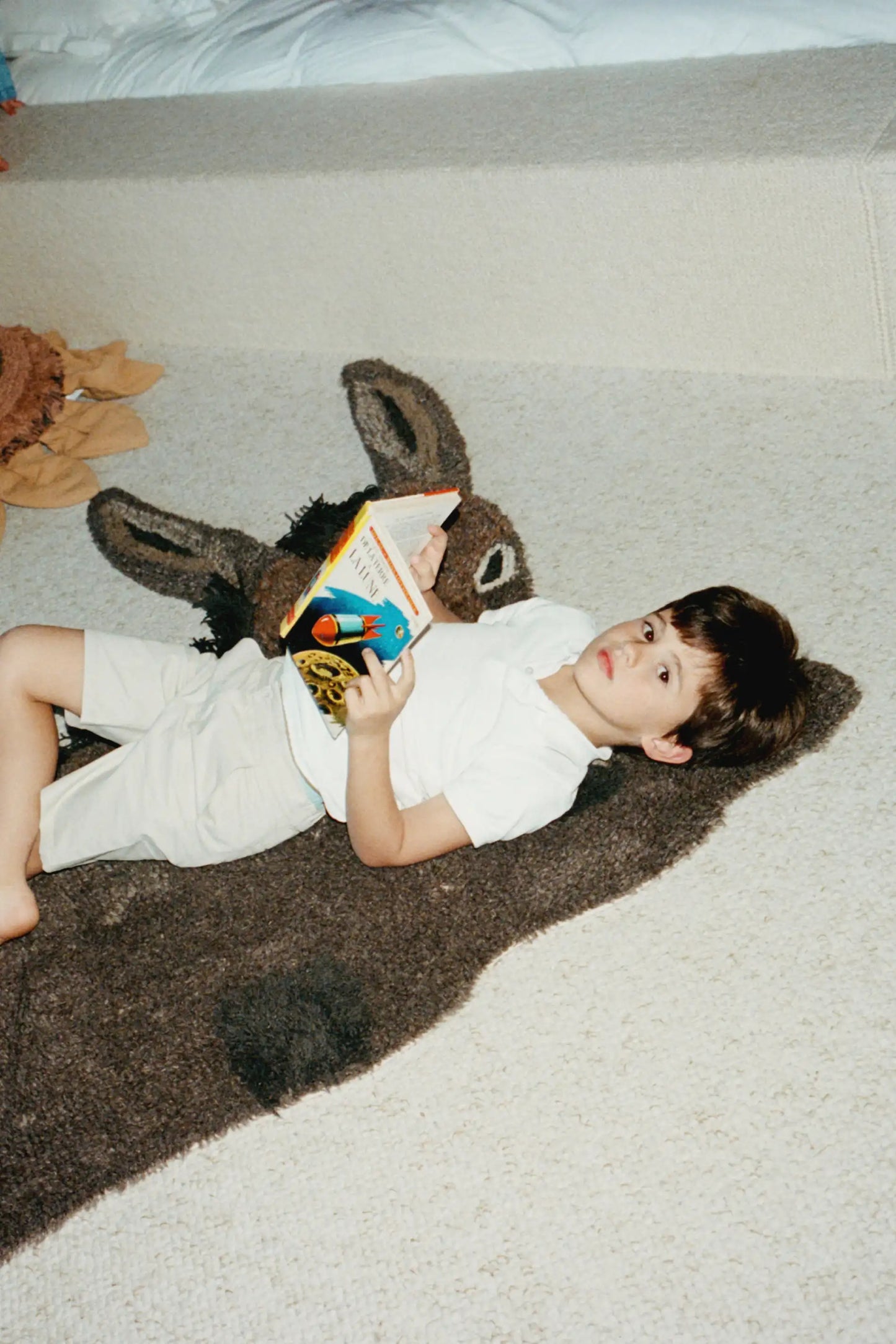 HECTOR THE DONKEY RUG - VILLA MAGNAN X LORENA CANALS