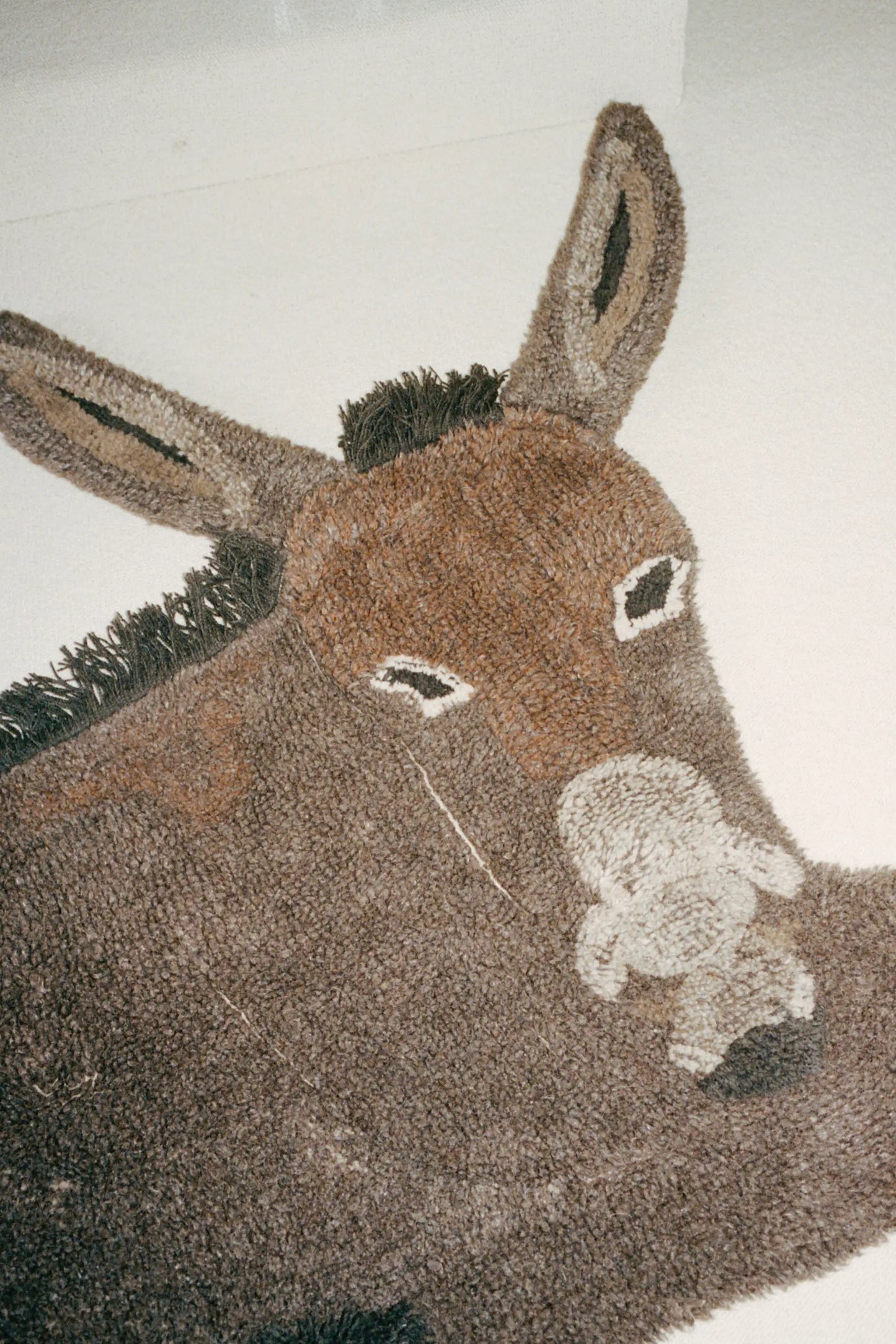 HECTOR THE DONKEY RUG - VILLA MAGNAN X LORENA CANALS